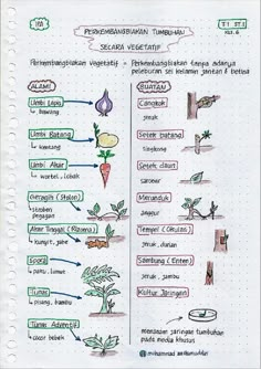 study note
studynote
rangkuman
catatan 
aesthetic
kelas 6
SD
m.aashimuddin Simple Present Tense, Simple Past Tense, School Study Ideas, Teaching Biology, Student Life Hacks, School Study Tips, English Language Learning, Study Hard, Mind Map