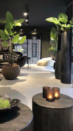 a living room filled with black furniture and lots of green plants on top of it