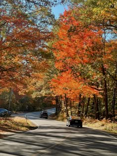 cars driving down the road in front of trees with orange leaves