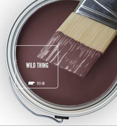 a paint can with a brush in it and the words wild thing on top of it