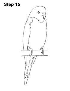 a drawing of a bird sitting on top of a branch with the words step 15