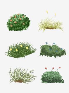 different types of plants that are growing in the grass and flowers on top of each other