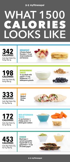 Thousand Calorie Meal Plan, What 500 Calories Looks Like, Calorie Deficit Meal Plan Breakfast, Simple Healthy Diet Plan, 500calorie Diet, Wegovy Food Plan, 1 500 Calorie Meal Plan Easy, Breakfast Ideas With Calories