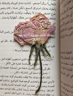 an open book with writing on it and a pink rose in the middle, sitting next to each other