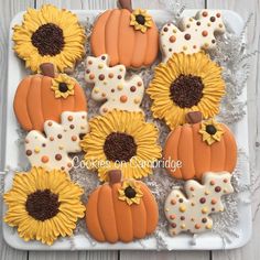 decorated cookies in the shape of sunflowers and pumpkins on a white platter