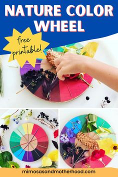 this is an easy nature color wheel craft for kids