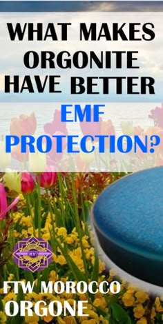 a blue frisbee sitting in the middle of flowers with text that reads what makes organite have better emf protection?