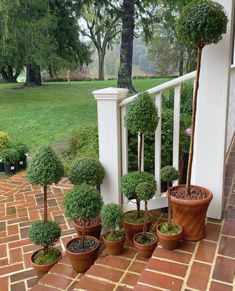 several potted plants on a brick walkway in front of a white fence and green grass