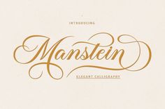 an elegant calligraphy font that is used in many ways