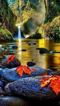 an autumn scene with leaves on rocks in the foreground and a waterfall in the background