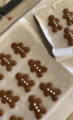 several ginger cookies are arranged on paper towels