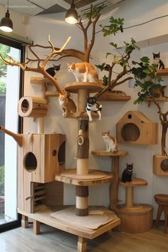 a cat tree with several cats sitting on it