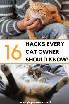 a person holding a cat with the caption 16 hacks every cat owner should know