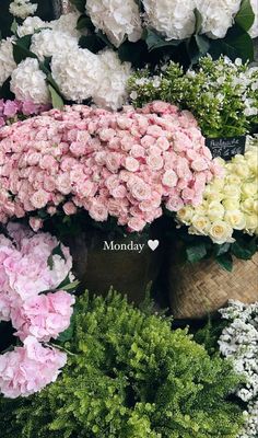 many different types of flowers in vases with the words monday written on top of them