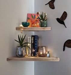 two wooden shelves with candles, books and plants on them in the corner of a room