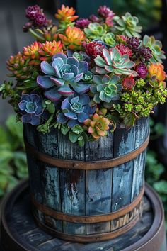 a wooden barrel filled with lots of succulents