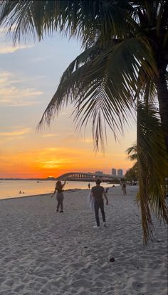 people walking on the beach at sunset with palm trees in the foreground and a bridge in the background