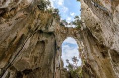 a man climbing up the side of a tall rock formation with trees growing out of it