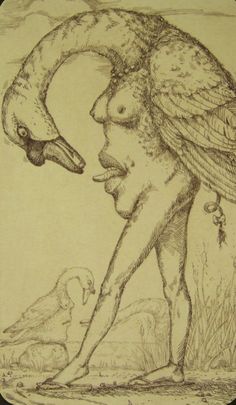 a drawing of a woman with an owl on her head and another bird in the background