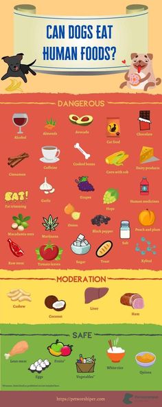 an info poster showing different types of food