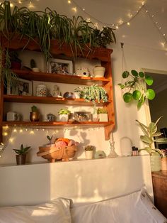 a bed with some plants on top of it next to a shelf filled with potted plants