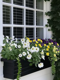 a window box filled with white and yellow flowers