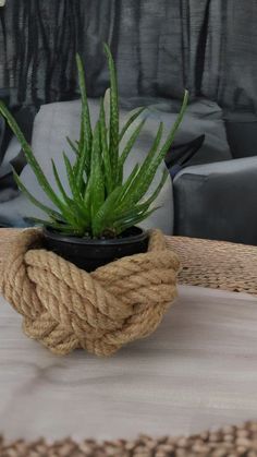 a potted plant sitting on top of a rope covered table next to a chair