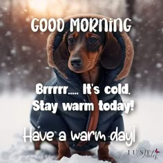 a dachshund dog wearing a jacket in the snow saying good morning burrrr it's cold stay warm today have a warm day