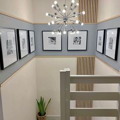 a staircase with pictures on the wall and a chandelier