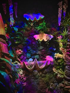 an image of some plants and flowers in the night time light up area with lights on them