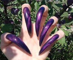 J Nails, Long Fingernails, Long Nail Art, Funky Nail Art, Curved Nails, Exotic Nails, Nails Only, Hot Nails