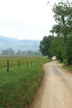 a horse standing on the side of a dirt road next to a lush green field