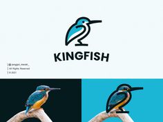 two birds sitting on top of a branch with the word kingfish written below them