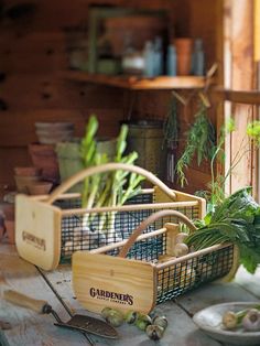 some vegetables are sitting in baskets on a table