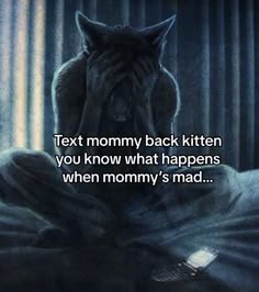 a cat sitting on top of a bed next to a window with the words text mommy back kitten you know what happens when mommy's mad