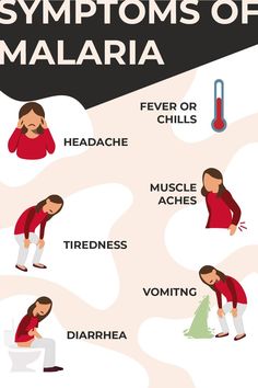 An graphic with six illustrations. Each illustration is a white girl with brown hair in a red shirt. The girl is illustrated to display the symptoms of Malaria: fever and or chills, headache, muscle aches, tiredness and or fatigue, vomiting and diarrhea. The illustrations sit on a cream background with a black banner that reads "Symptoms of Malaria". Chills Symptoms, Malaria Poster, Malaria Symptoms, Global Health Issues, Village Scene Drawing, Fever Symptoms, Human Pictures, Homeopathy Medicine