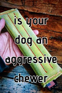 a hand holding a green cloth with the words, is your dog an aggressive chewr?