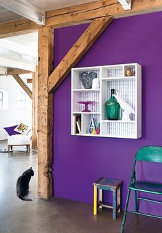 a purple wall with white shelves and a black cat sitting on the floor in front of it