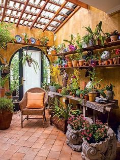 a room filled with lots of potted plants