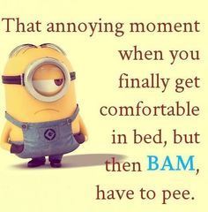 a minion with the caption that says, that annoying moment when you finally get comfortable comfortable bed, but then bam, have to pee