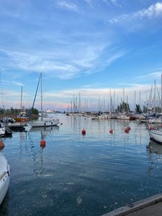 many boats are docked in the water at sunset or sunrise, with blue sky and white clouds