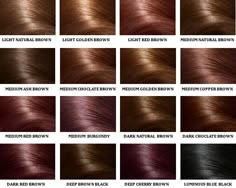 Brown Hair Color Chart.  My natural color is light natural brown (when exposed to sun here and there) Brown Hair Color Chart, Brown Hair Shades, Dark Red Brown, Latest Hair Color, Brown Hair Color, Hair Color Chart, Hair Color And Cut, Shades Of Brown, Hair Envy