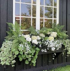 a window box filled with white and green flowers