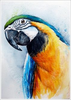 a painting of a colorful parrot with blue, yellow and green feathers on it's head