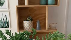 two potted plants sitting on top of a table next to pictures and vases