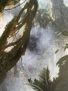 an image of a jungle scene with trees and fog in the air as if they were floating on water