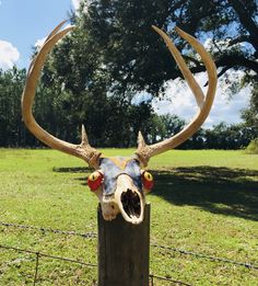 a deer's head mounted on top of a wooden post in the middle of a field