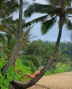 a woman laying in a hammock between two palm trees