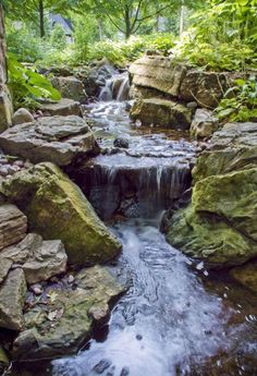 a small waterfall in the middle of a forest filled with lots of rocks and plants