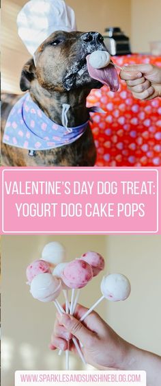 valentine's day treat for your dog cake pops